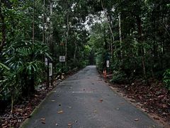 -武吉知马自然保护区