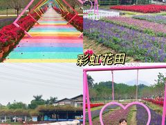 -盈香心动乐园
