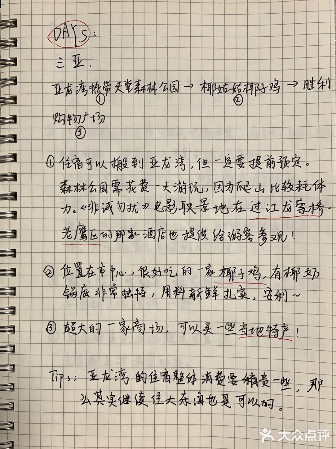 海口+三亚｜穷游必看的手写攻略✨