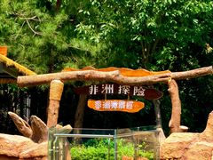 -合肥野生动物园
