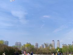 -群力丁香公园