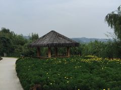 -抚仙湖万达文华酒店