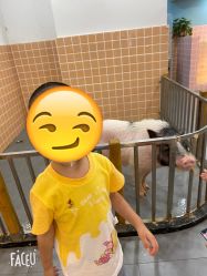 -Moni星球萌宠·小马宝莉·灵蛇·高端高阶全萌宠互动体验俱乐部(红豆国际广场店)