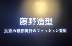 点击看大图 -藤野造型