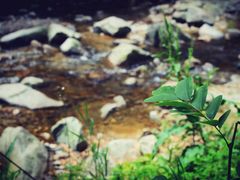 -溪口-滕头旅游景区