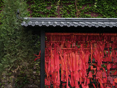 -沂蒙山旅游区云蒙景区(蒙山国家森林公园)