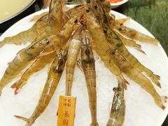 -中苑海韵