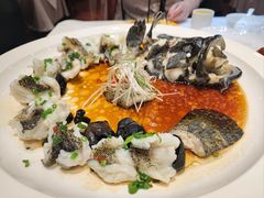 古法蒸石斑鱼-万荣烤鸭店·北京菜(天坛店)