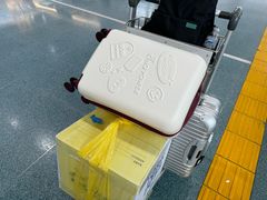 -王权免税店(普吉市区店)