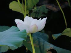 -锦溪古镇