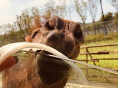 -南京金牛湖风景区