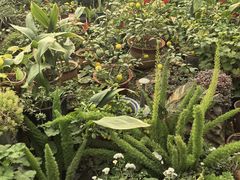 -天毓山庄·餐厅