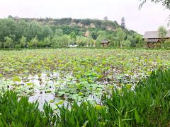 -渭南桃花源民俗文化园