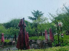 -荷风细雨·中国茶宴(碧云店)