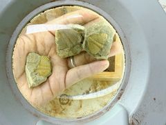 -房山世界地质公园博物馆