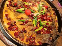 -老板恋上鱼(印象城店)