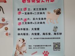 -诺比宠物医院心脏内科·泌尿肾内外科·骨科急重症