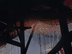 -三亚红色娘子军演艺公园景区