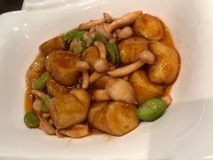 -普陀山雷迪森庄园