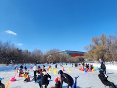 -沈阳奥体冰雪嘉年华
