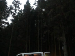 -山王坪喀斯特国家生态公园