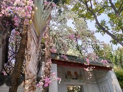 -深圳国际园林花卉博览园