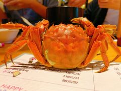 -胡桃里音乐酒馆(四道口店)