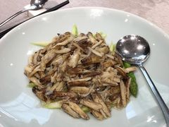 蟹脚炒芦笋-新光酒家·河豚·海鲜·蟹料理(浦东店)