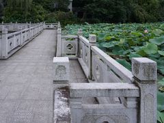 -范蠡湖公园
