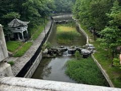 -白水寺森林公园