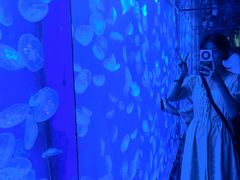 -江和美海洋公园