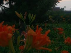 -莫子山公园