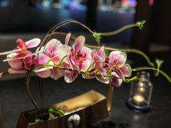 -RIVIERA 松鹤楼(外滩店)