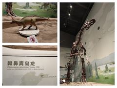 -山东博物馆