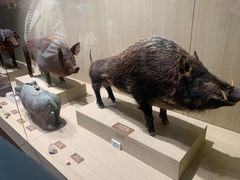 -中国农业博物馆