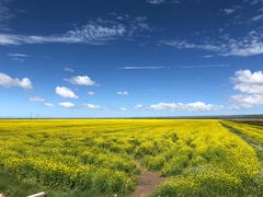 -青海湖国家重点风景名胜区
