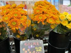 -优衣库(深圳万象天地旗舰店)