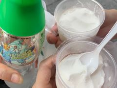 -洪馨椰子