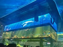 -天河体育中心
