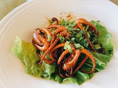 章鱼-鹰龙海畔度假酒店(咸祥店)