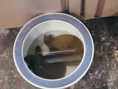 -赣南人家(顺义后沙峪亚朵店)