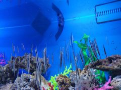 -成都浩海立方海洋公园