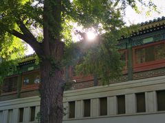 -国家图书馆·古籍馆