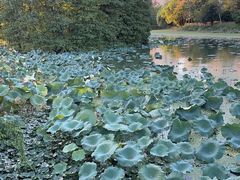 -白塘生态植物园