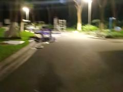 -昆山城市生态森林公园