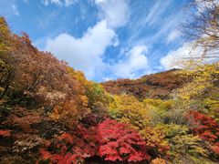 -关门山森林公园