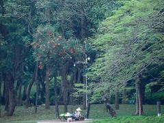 -深圳国际园林花卉博览园