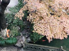 -胡雪岩故居
