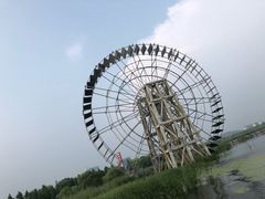 -太湖湖滨国家湿地公园-停车场
