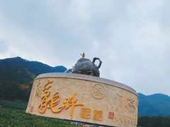 -龙坞茶村